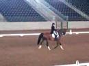 Musical Freestyle - Mary Nuttall Musical Freestyle - Mary Nuttall