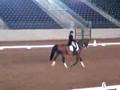 Musical Freestyle - Mary Nuttall