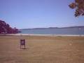videos de PC040165.AVI