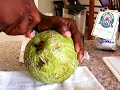 Breadfruit Recipe