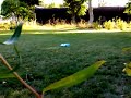 wybuch - karbit + woda