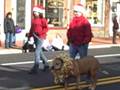 videos de Victorian Stroll 2008: Middletown Vet Center