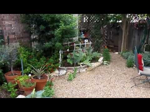 how to xeriscape on a budget