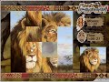 dogs guide to puzzle safari
