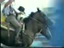 Hervey Bay & Fraser Island. Last minute shows a 