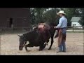 Cross Traning Horsemanship Promo