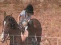 II Etapa ABHIR de Hipismo Rural - 2008 - Mogi Mirim
