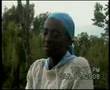 Ethiopian Government incited killing in Jimma, Ethiopia