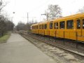 DÜWAG TW6000, ex Hanover. Trams running in various locations in Budapest, Hungary. Magyarország Locations include: Határ Ùt, Gubasci Ùt, Mexikói Ùt, &Órs Vezetér Terre. See these wonderful trams, in distinctive orange yellow. enjoying their second lease of life on the streets of Pest. Now operated by BKV, there are 70 of these German built trams in the city of Budapest.