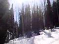 Woods and Air