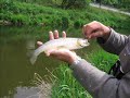 Vliegvissen in Sauerland - www.dutchflyfishing.nl Vliegvissen in Sauerland - www.dutchflyfishing.nl
