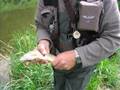 Vliegvissen in Sauerland - www.dutchflyfishing.nl