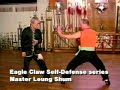 Video Sample Ying Jow Pai series