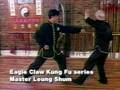 Video Sample Ying Jow Pai series