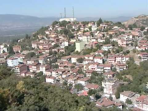 NİKSAR