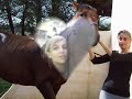 journée entre copines a cheval
