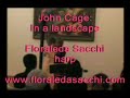 John Cage: In a landscape - Floraleda Sacchi, harp
