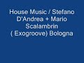 House Music / Stefano D\ House Music / Stefano D\
