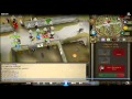 Taco Limey, Bh Vid 21, Dharok Hybridding
