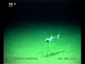 Tripod fish eyeballs ROV at 1443m deep