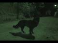 videos de Presentacion, Espectros.wmv