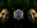 Fucionando cabezas (?