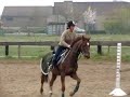 Rebro training Rebro training