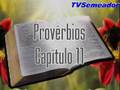 Provérbios - Cap. 11