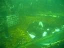 ALOHA Mooring Swim Down ALOHA Mooring Swim Down