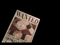 One Piece - Most Wanted Posters