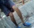 hisho tamz