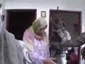 Crazy Joe in Ramadi