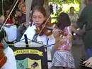 hedwig's theme performed in oak park, ill. at harry potter 7 