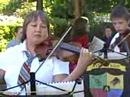 hedwig's theme performed in oak park, ill. at harry potter 7 