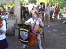 hedwig's theme performed in oak park, ill. at harry potter 7 