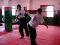 Peng Lai Brasil - Guilherme Gerbelli