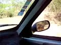 CANIL FILAS DE FAZENDA - FILA BRASILEIRO