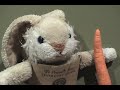 DON RABBIT