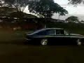 OPALA DO BIXIGA EM PARANAVAI - PR