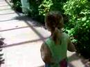 Butterfly Garden