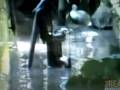 India's Climate Change Refugees in Bihar - 3Ceco.com