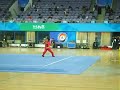 2007 9th World Wushu Championships Opening Ceremony 2007 9th World Wushu Championships Opening Ceremony