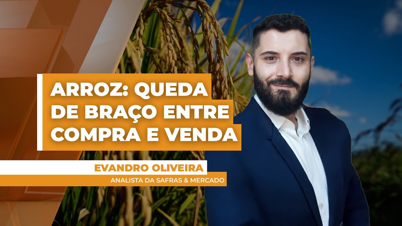 Mercado do arroz tem liquidez bastante limitada por 'queda de braço' entre compradores e vendedores