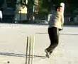 cricket