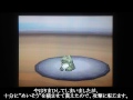 Click here to watch this video ポケモンBW バトルビデオvol.8