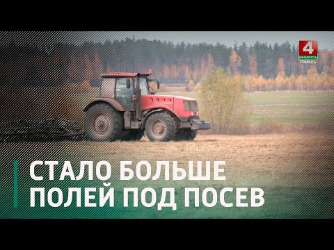 Площади под озимые культуры на Гомельщине увеличили почти на 40 тысяч га видео