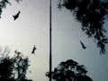 voladores de papantla