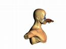 Deformation Rendering