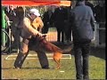 NVBK History 1988 Competition Cat 1 at Deurnese Politiehond