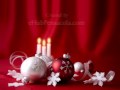 Holiday Catering from ChickenAnywhere.com